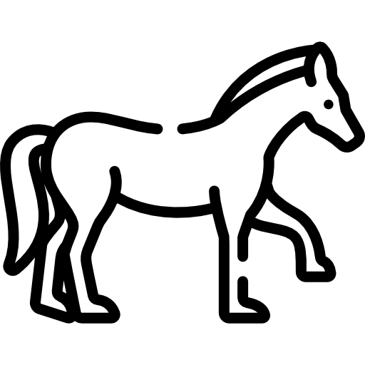 At Hekimliği Eğitimleri icon