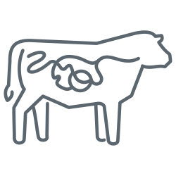 Ruminant Eğitimleri icon